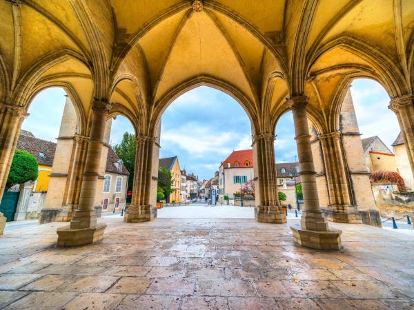 Cycle Burgundy's Route de Grand Crus