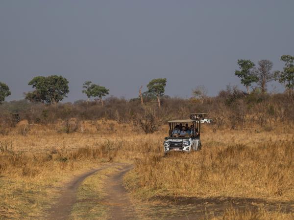 Hwange NP safari and rail holiday, Zimbabwe