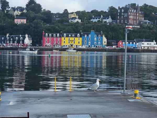 Oban to Stornoway sailing holiday, Scotland