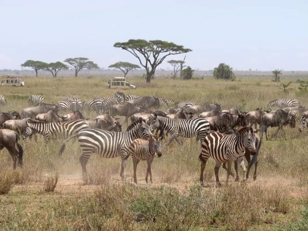 Tanzania national park holiday, off the beaten path