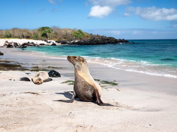 Ecuador & Galapagos holiday for blind travellers