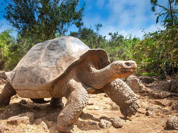 Ecuador & Galapagos holiday for blind travellers