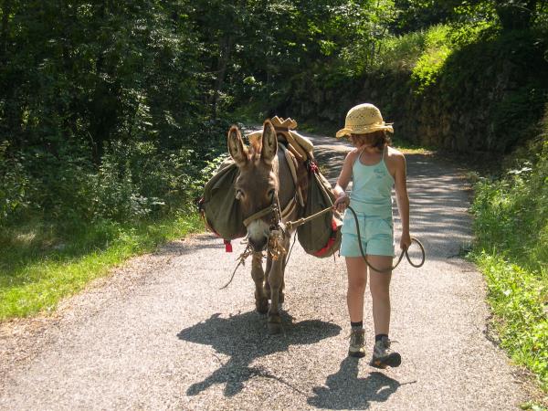 Family walking holidays with a donkey, France 