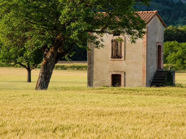 The Via Rhona cycling tour, Vienna to Montelimar