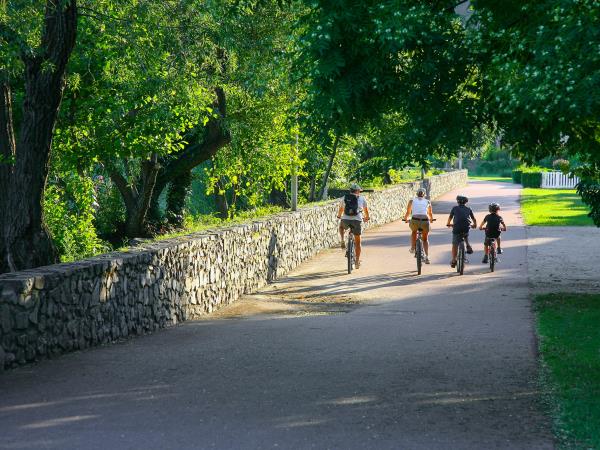 The Via Rhona cycling tour, Vienna to Montelimar