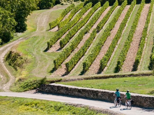 The Via Rhona cycling tour, Vienna to Montelimar