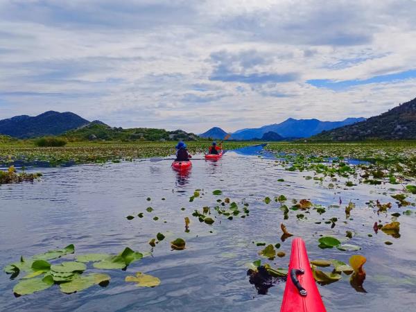 Canoeing and kayaking holiday in Montenegro, Lake Skadar