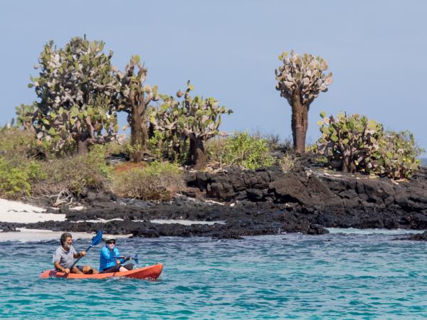 Galapagos and Peru holiday, tailor made