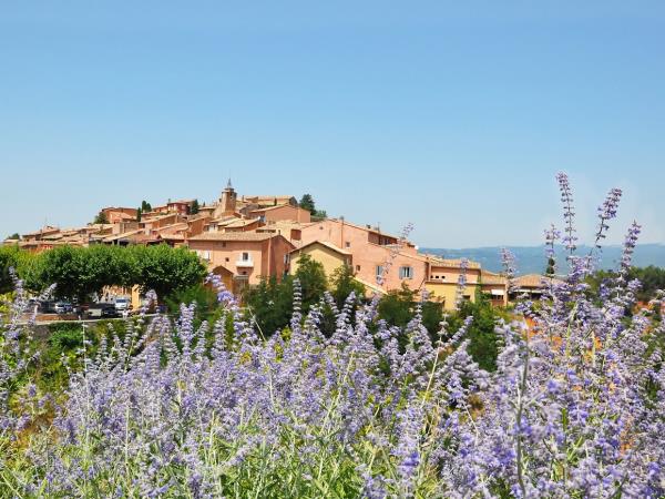 Provence luxury cycling holiday, France