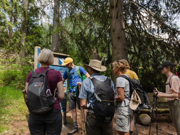 Austrian walking and yoga holiday