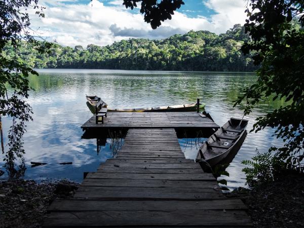 Bolivia Amazon tour