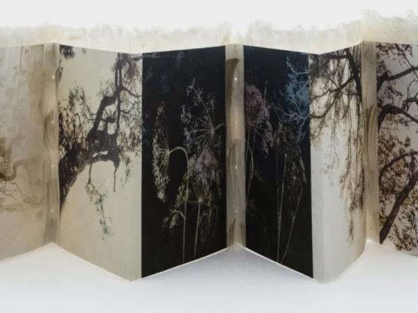 Paper sculpture holiday in Italy with Karen Olsen