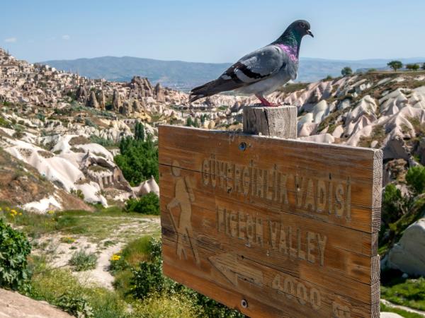 Eastern Turkey cultural tour