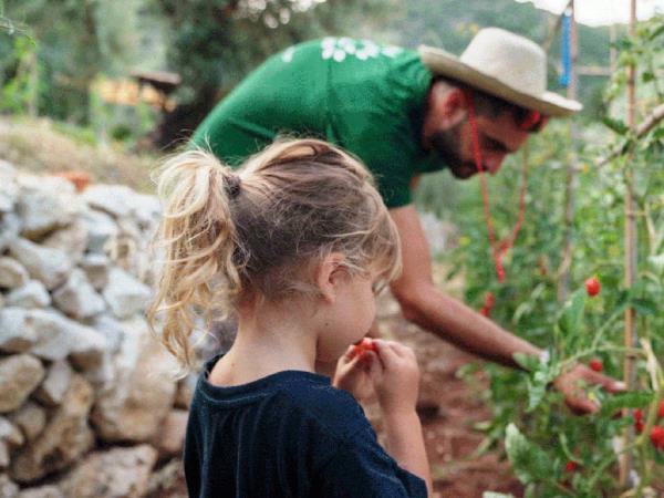 Lefkada, Ithaca & Kefalonia family holiday