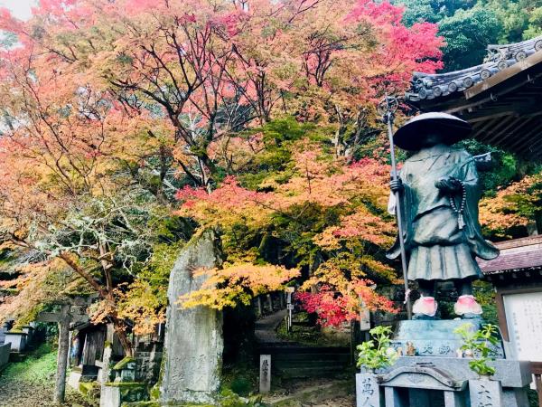Shikoku Pilgrimage short walking holiday, Japan