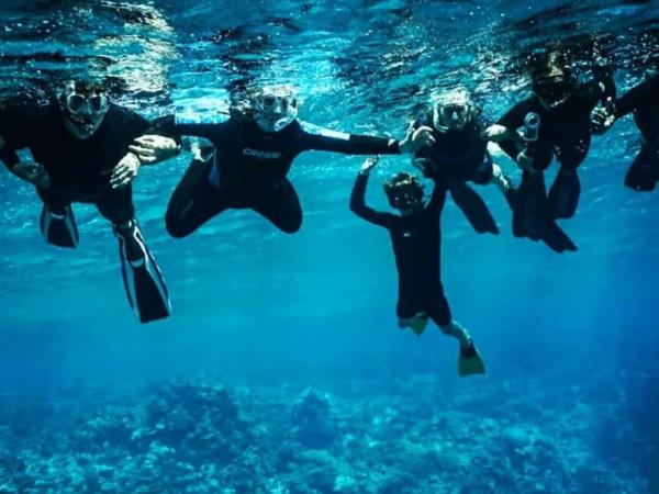 Budget Tonga holiday, swim with humpback whales