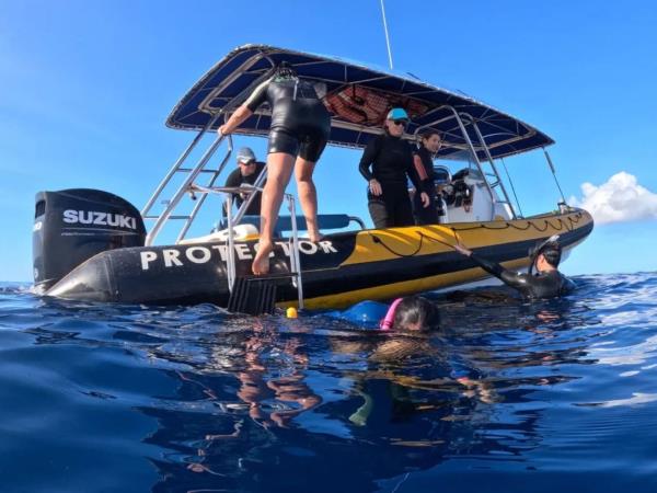 Budget Tonga holiday, swim with humpback whales
