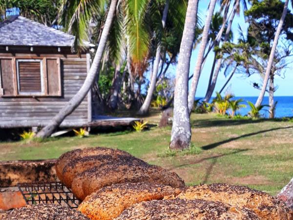Budget Tonga holiday, swim with humpback whales
