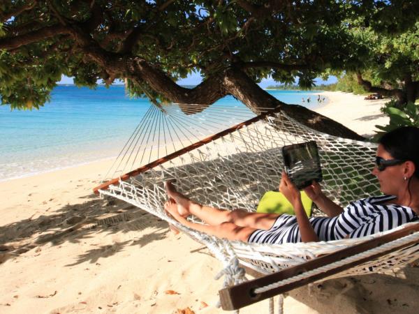 Budget Tonga holiday, swim with humpback whales