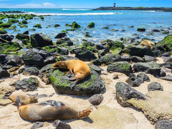 Ecuador and Galapagos 3 week holiday