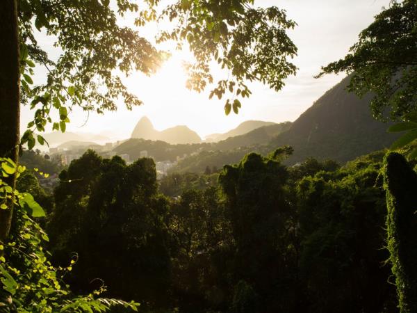 Best of Brazil tailor made holiday