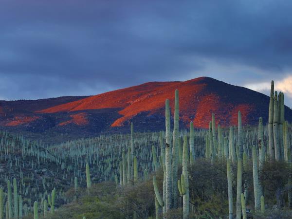 Mexico 10 Day tour