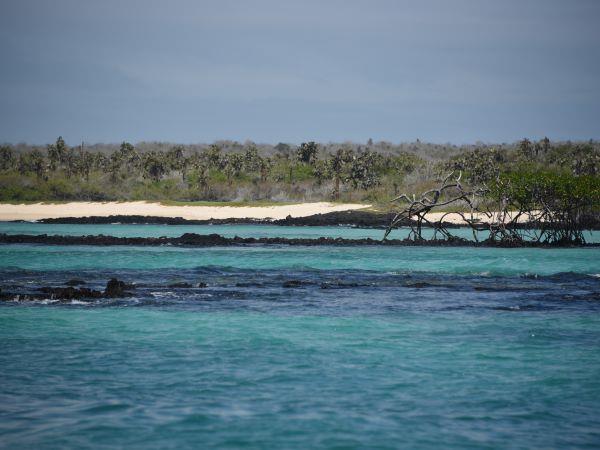 Galapagos Islands swimming holiday