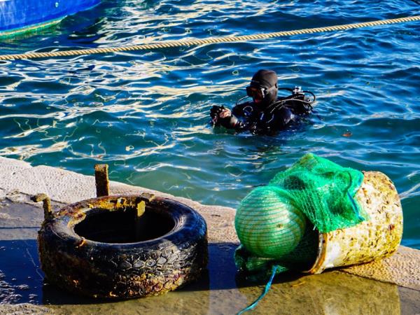 Marine conservation diving holiday, Croatia