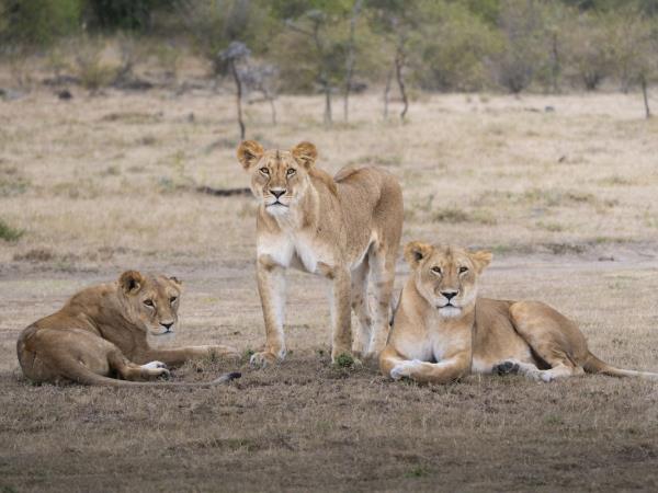 Tanzania photography safari tour 
