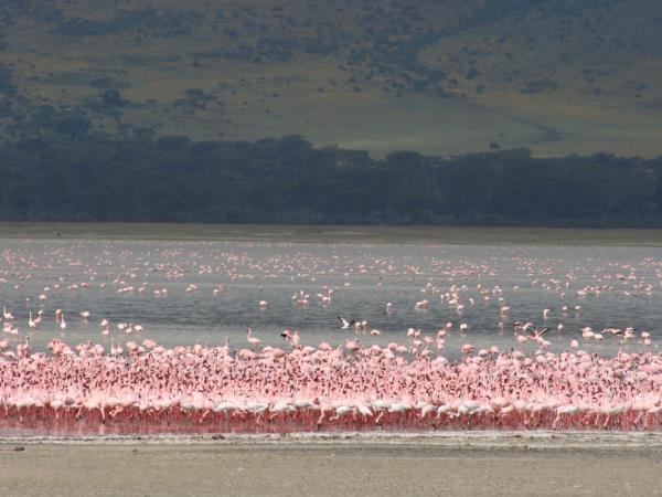 Tanzania photography safari tour 
