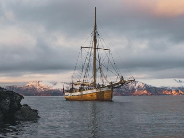 Whale and bird watching holiday, Norway