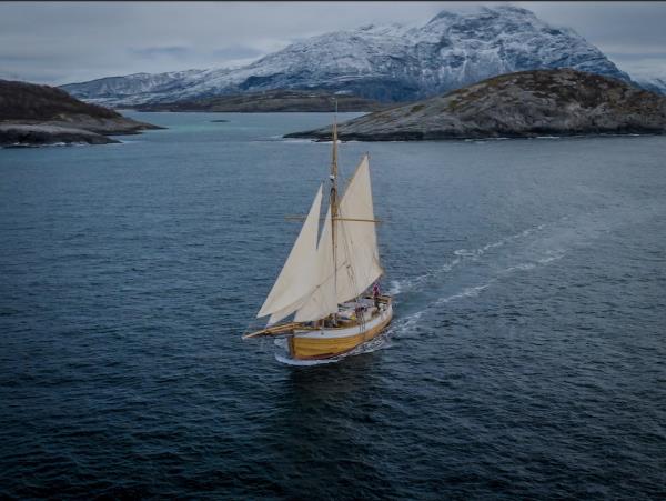Whale and bird watching holiday, Norway