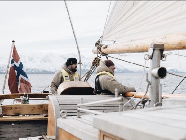 Whale watching sailing holiday, Norway
