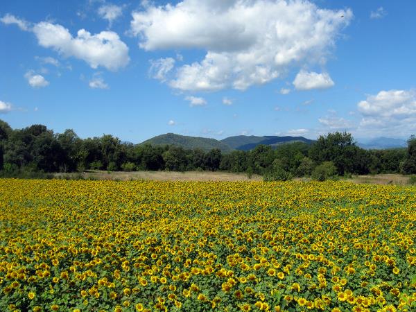 Art holiday in Girona, Spain