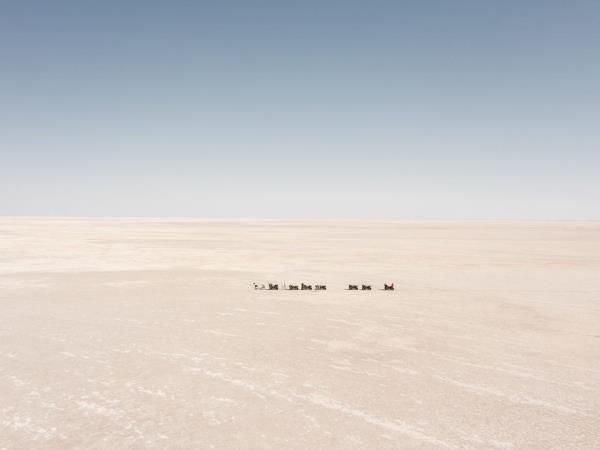 Kalahari and Kubu Island adventure, Botswana