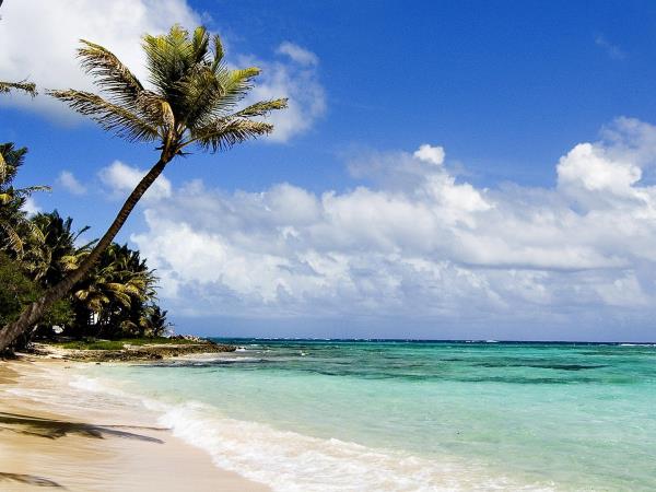 Kenya safari and beach family holiday