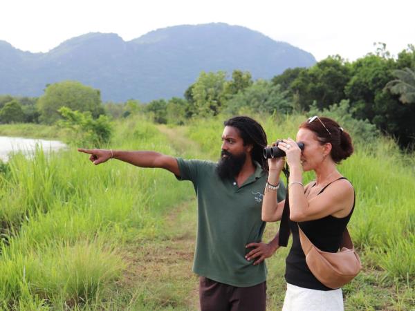 Sri Lanka birding tour
