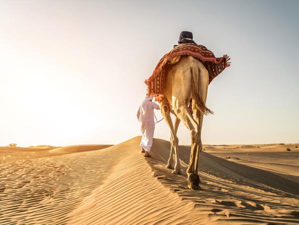 Saudi Arabia culture & history holiday
