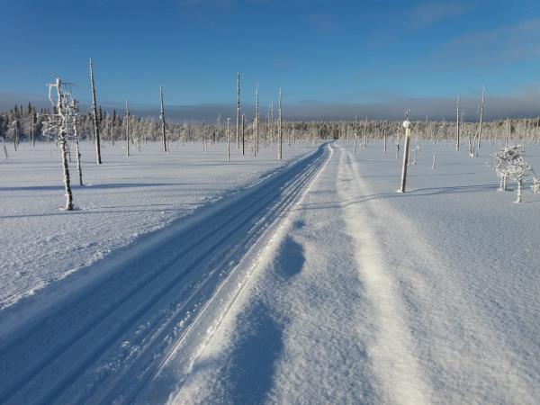 Cross-country skiing holiday in Finland's eastern wilderness