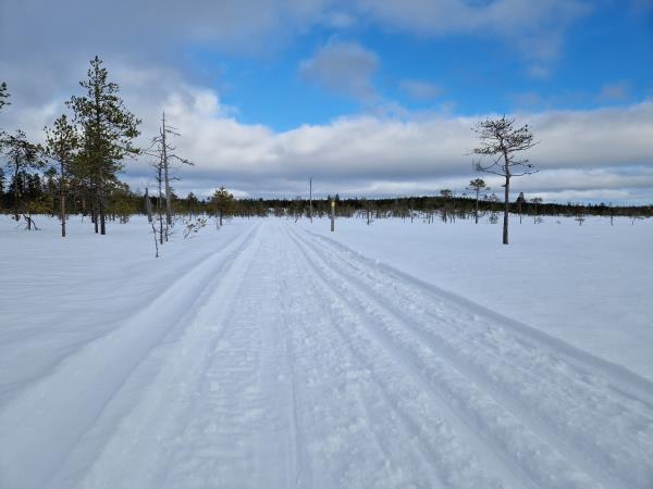 Kalevala ski touring holiday in Finland