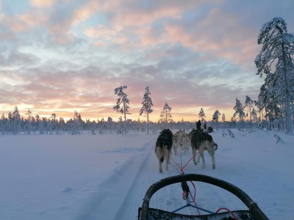 Finland husky safari holiday