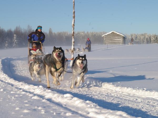 Finland husky safari holiday