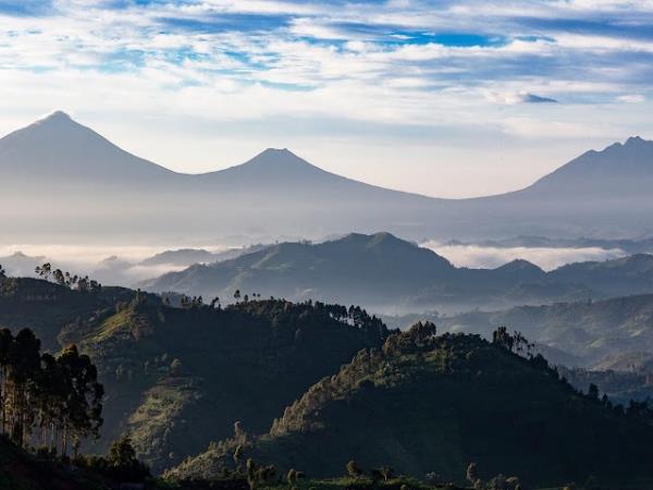 Rwanda primates & national parks adventure