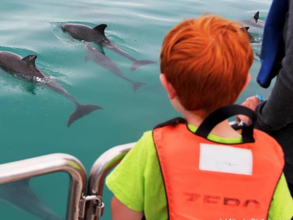 Watersports and whale watching holiday, South Africa