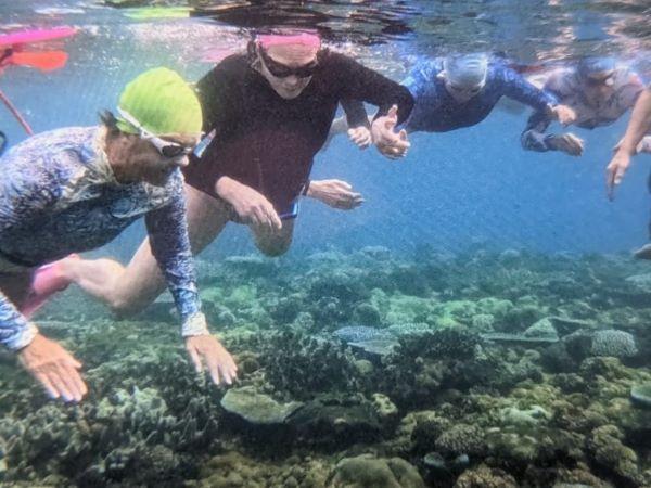 Fiji swimming holiday