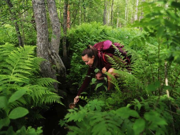 Finland walking week