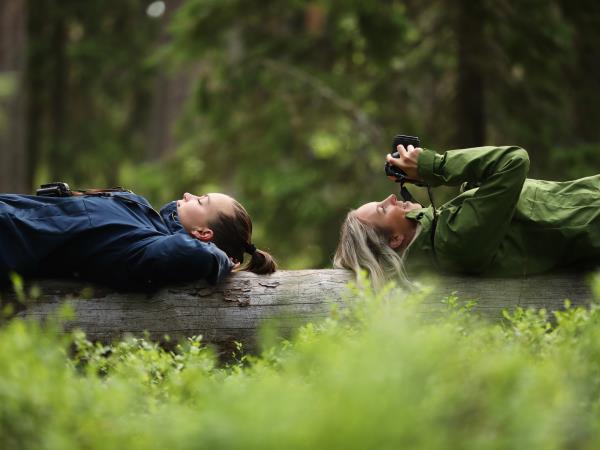 Finland walking week