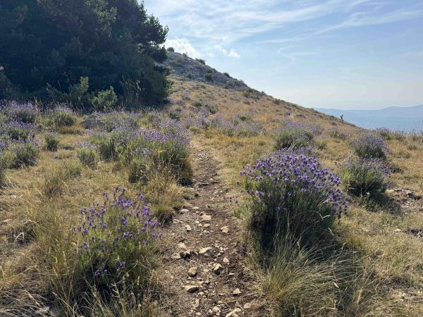 Provence family holiday