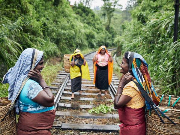 Sri Lanka South Coast tailor made tour