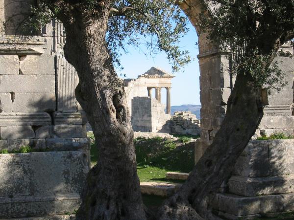 Tunisia cultural short break